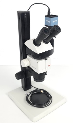 Leica m80 microscopio - m80, stereo