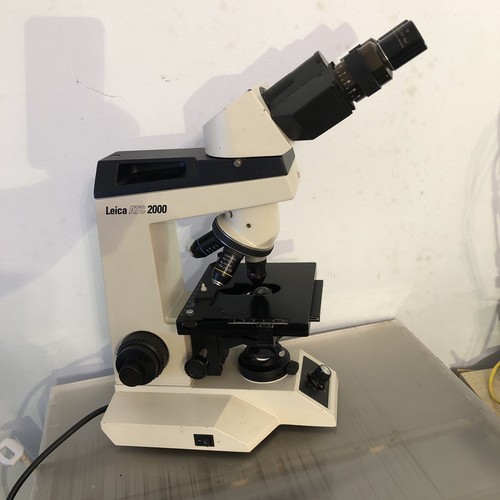 Microscopio leica con - microscopio, 3